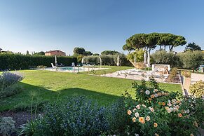 Rosa di Assisi