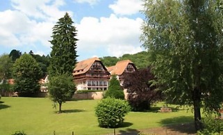 Hotel des Vosges