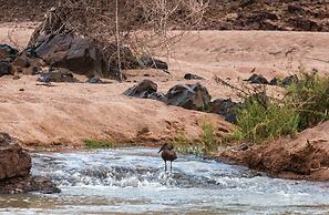 Kunene River Lodge