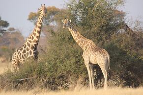 Ndhovu Safari Lodge - Campground