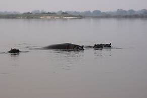 Ndhovu Safari Lodge - Campground