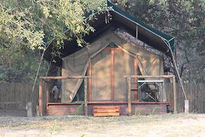 Ndhovu Safari Lodge - Campground