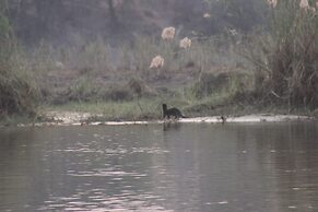 Ndhovu Safari Lodge - Campground