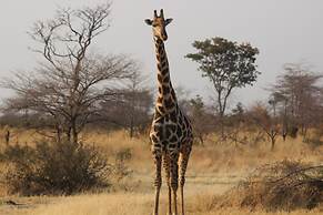 Ndhovu Safari Lodge - Campground