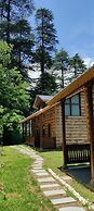 Heritage Satikva Resorts