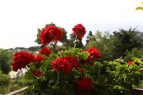 Alle Ginestre B&B