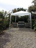 George Beach Studios