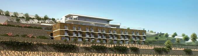 Delfim Douro Hotel