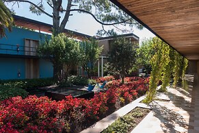 Hotel Bo