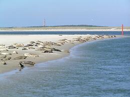 Sier aan Zee