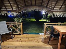 Hotel Hibiscus