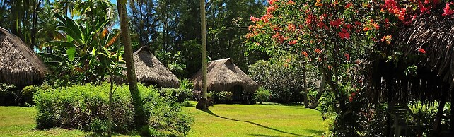 Hotel Hibiscus