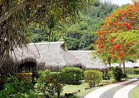 Hotel Hibiscus