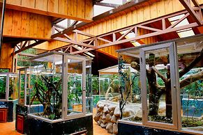 Ficus Sunset Suites