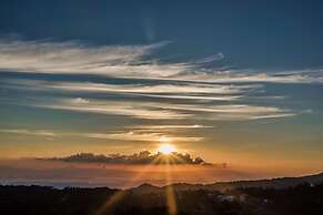 Ficus Sunset Suites