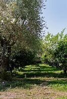 Il Casale Le Tre Volte
