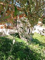 CuccuruAio' B&B