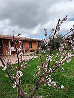 CuccuruAio' B&B