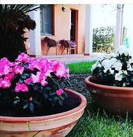CuccuruAio' B&B