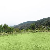 The Ayali Fernhill Resort, Chail