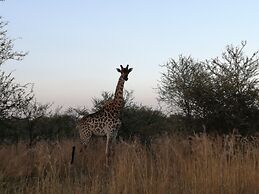 Ditholo Game Lodge