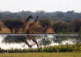 Ditholo Game Lodge