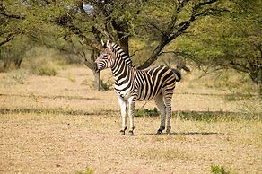 Ditholo Game Lodge