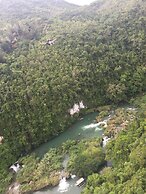 Palms Cove Resort