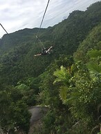 Palms Cove Resort