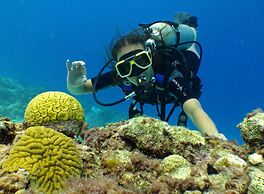 Scuba Lodge City Beach