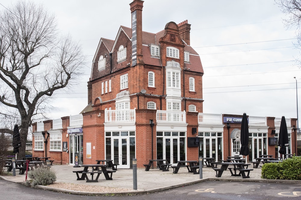 Fox Connaught