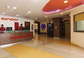 Ginger Faridabad