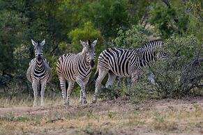 Ezulwini Game Lodges