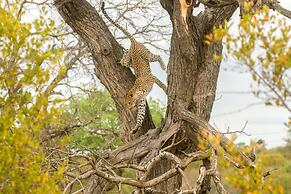 Ezulwini Game Lodges