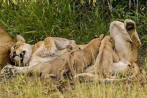 Ezulwini Game Lodges