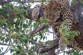 Ezulwini Game Lodges