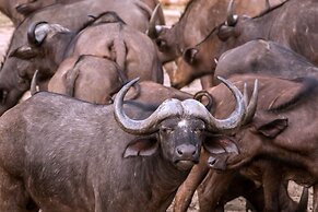 Ezulwini Game Lodges