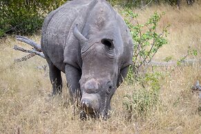 Ezulwini Game Lodges