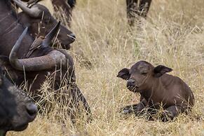 Ezulwini Game Lodges
