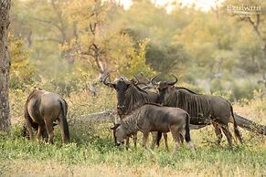 Ezulwini Game Lodges