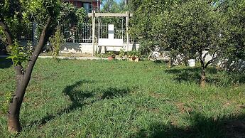 Elena's Garden