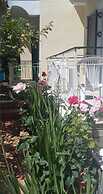 Elena's Garden
