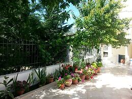 Elena's Garden