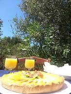 Tenuta de Marco