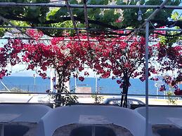 Faliraki Apartments