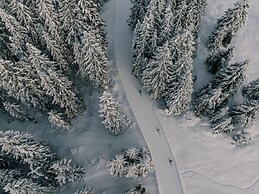 Alpino