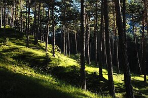 Alpino