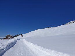Alpino