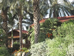 Naomi's B&B