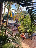 Somewhere To Stay Backpackers